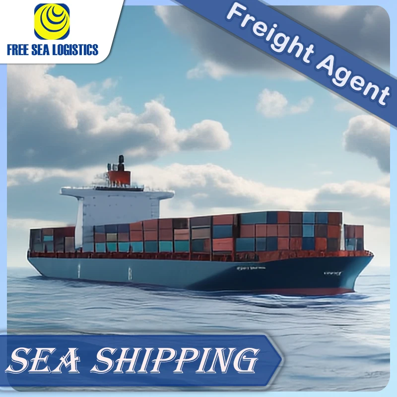 Professional logistics China to Argentina air/sea freight forwarder  door-to-door service DDP