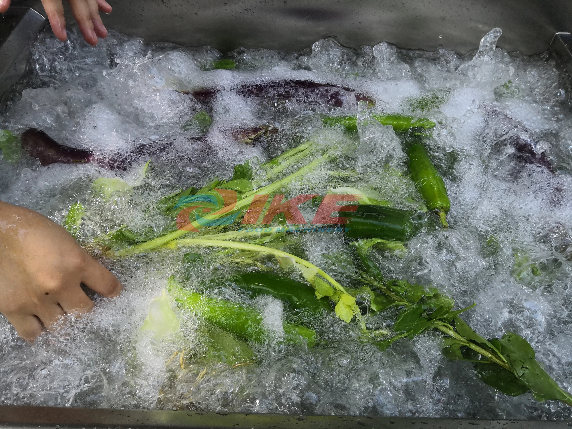 Favorable Price 304 Stainless Steel Bubble Automatic Broccoli Lettuce Fruit And Vegetable Washing Machine