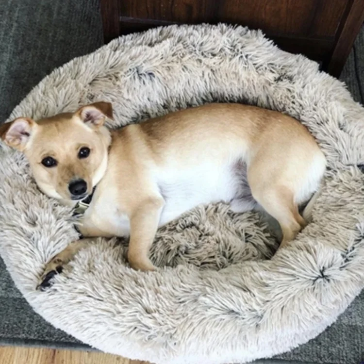 Removable Faux Fur  Anti-slip Cat Pillow Manufacturer Donut Pet Bed for Cats Dogs with Washable Round
