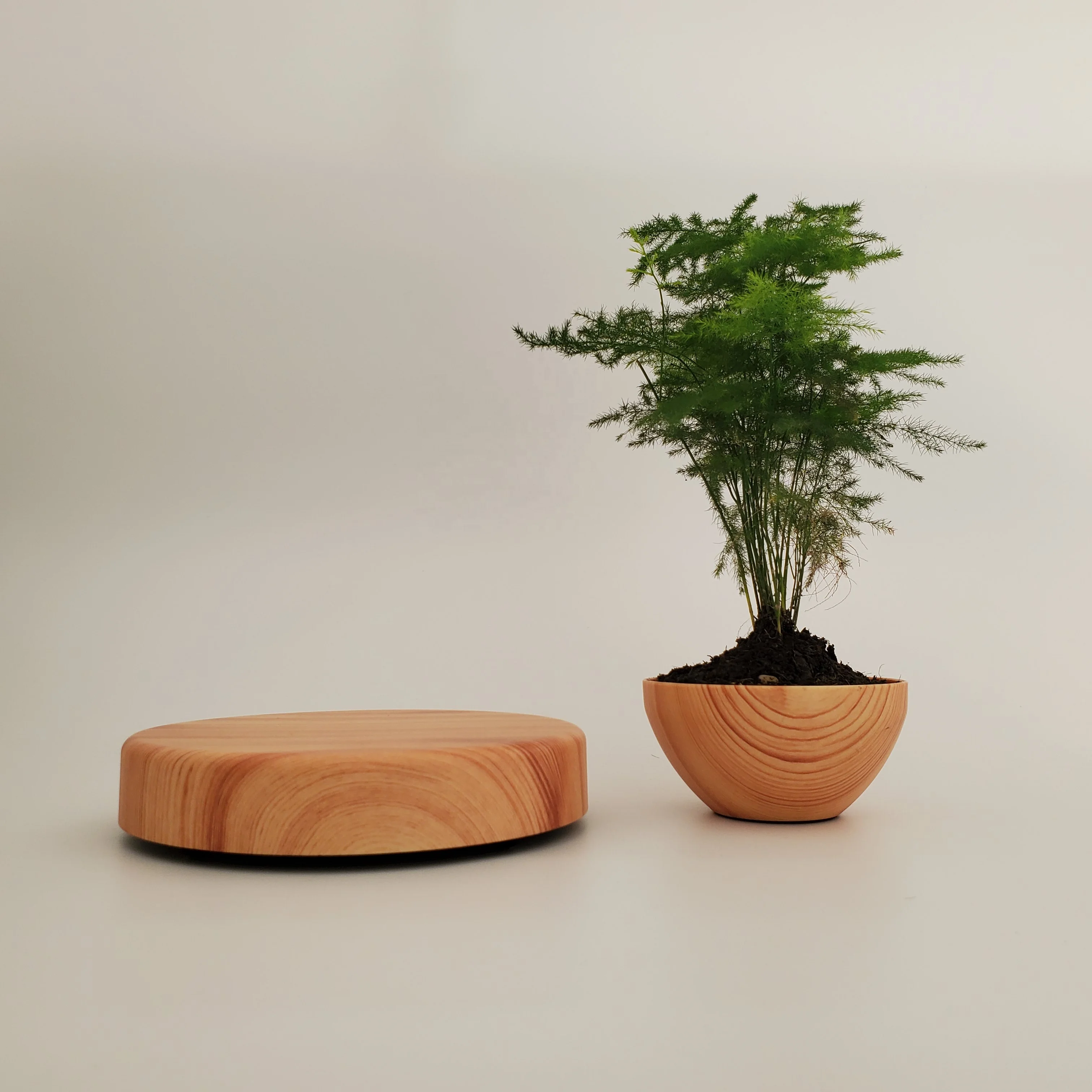 HCNT Magnetic Levitating Wooden Bonsai Floating Flower Pot Modern and Creative Gift for New Year&Birthday or Indoor Decoration