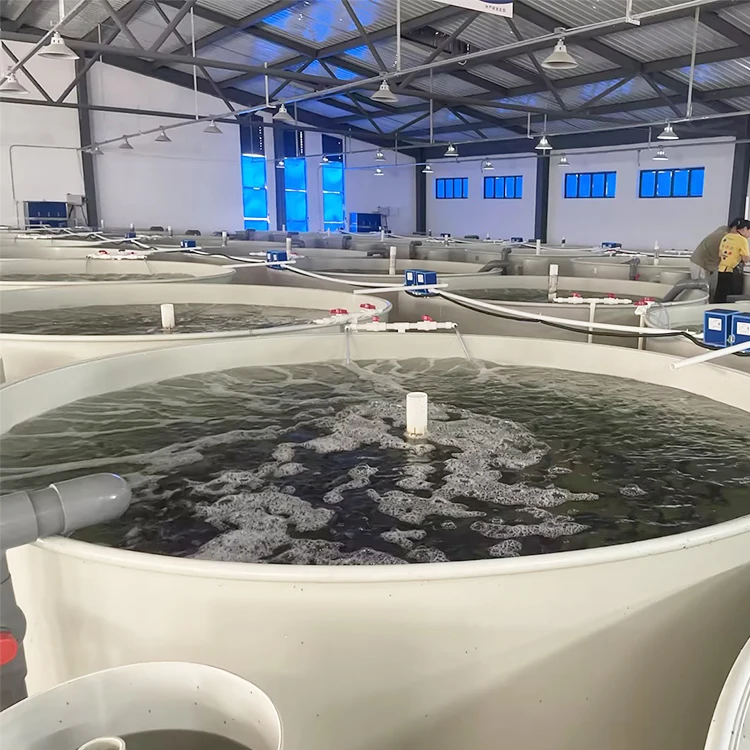 Indoor Recirculating Aquaculture System Aquaculture Malaysia/Ras Fish Farming System Recirculating Aquaculture