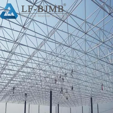Low price customized space frame roof steel structure system