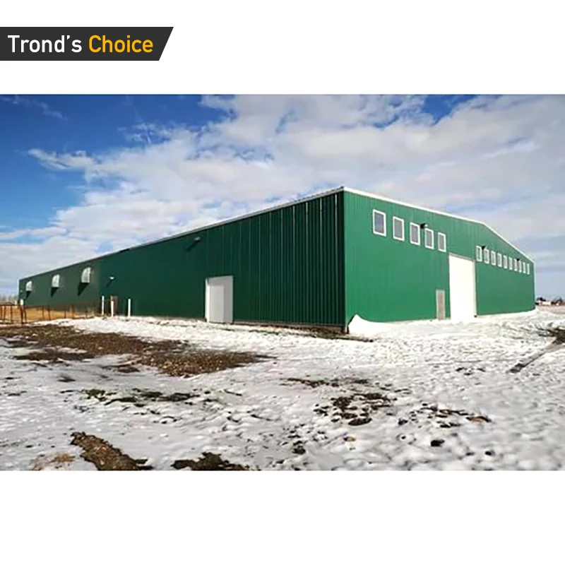 Steel Structure Warehouse Workshop Steel Prefab Workshop Buildings Factory