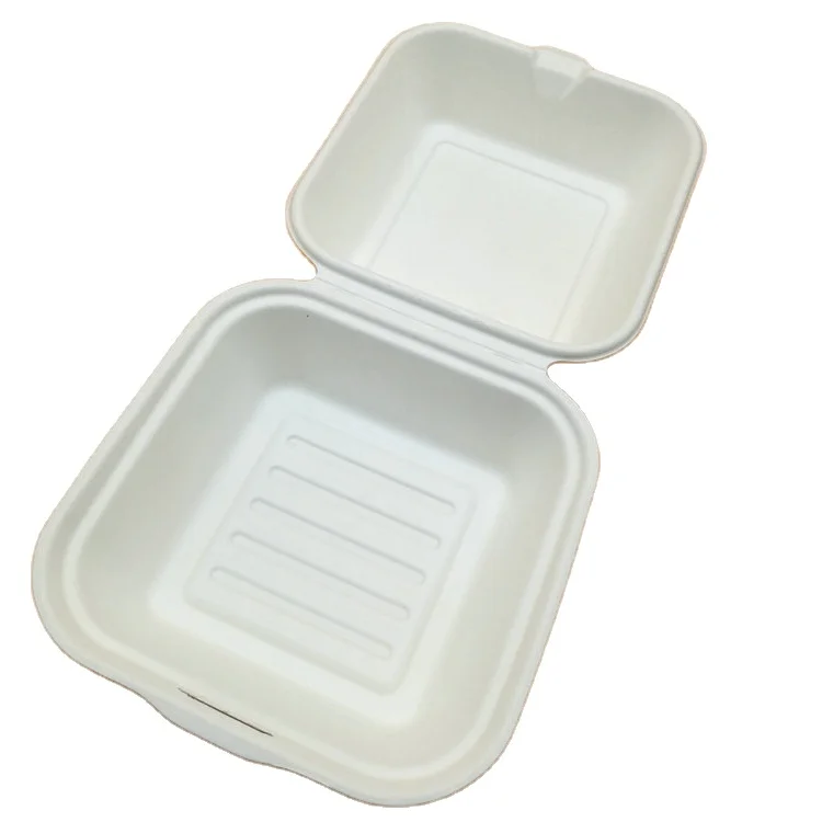 
biodegradable sugarcane pulp 6