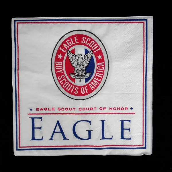 Printed Paper Napkin for Hotels Restaurants Bulk Packaging Recyclable Plastic Material Water Food Use