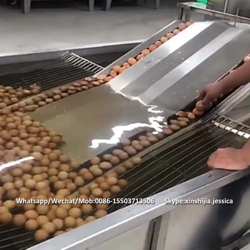 Big capacity commercial stainless steel automatic poultry chicken goose  salted duck egg cleaner