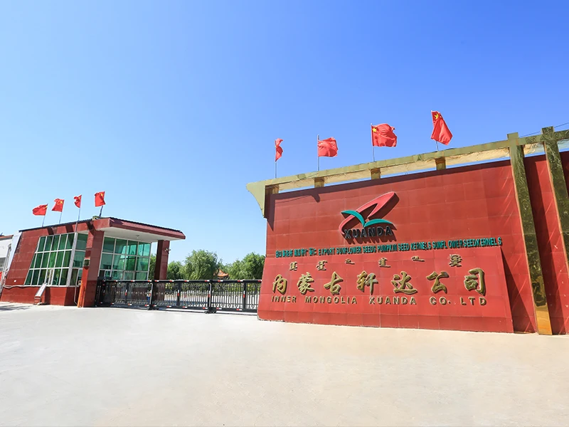 2024Year Supply Sunflower Seed 363 361 601 From China