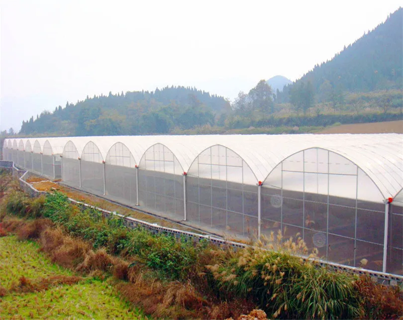 agriculture equipment/cheap arch pipe greenhouse for sale/Solar tomato greenhouse for sale