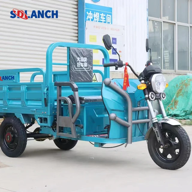 China Electric Adult Tricycle Electric Three Wheeler Cargo 1000w Eec Electric Trike Scooter Cargo Bike