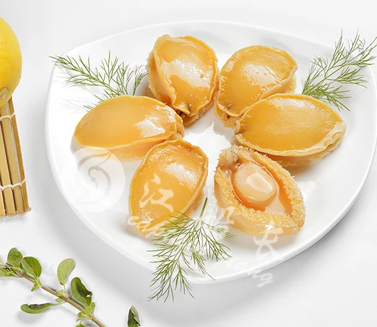 Абалон может быть в рассоле, оптовая продажа моллюсков