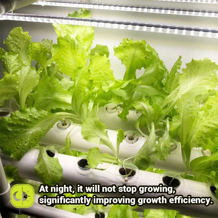 UKIOK Outdoor & indoor NFT Home Vertical Garden Hydroponic Growing Systems  with led light