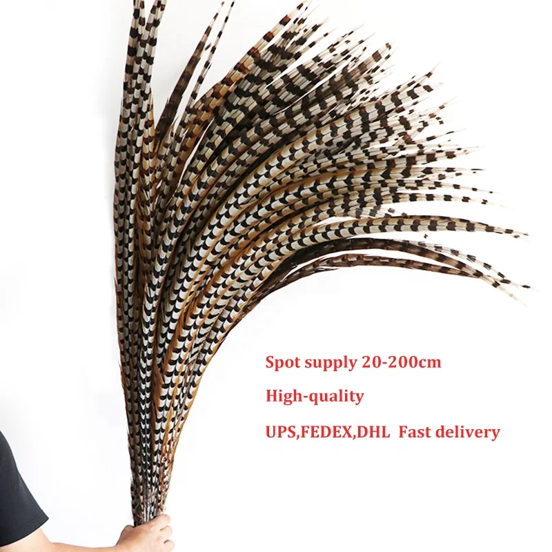 Cheap Large Natural Reeves Pheasant Tail Feathers 90-100CM for Carnival Samba Pattaya performances