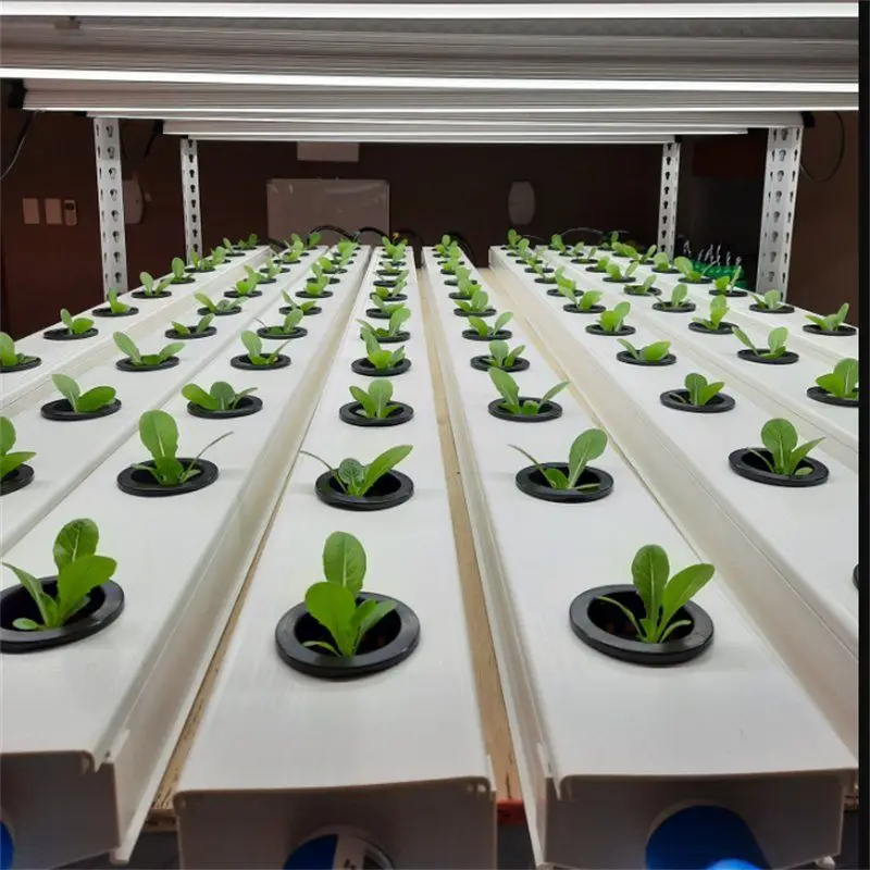 Greenhouse Commercial Plant Agricultural greenhouses nft hydroponic channels pipe pvc square hydroponic nft growing systems