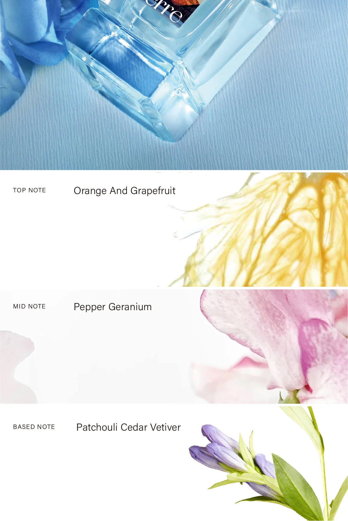 Oem Private Label French Mens Women Arabic Essential Body Perfume Wholesale Dubai Fragrance For Branded Perfume