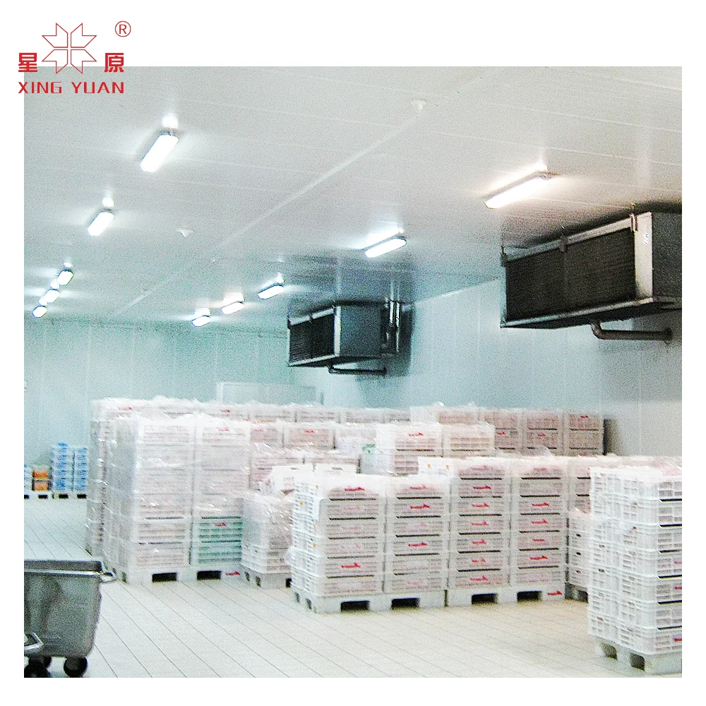 freezer cold room fruit storage for ice blocks, frozen import for fruits inside meat