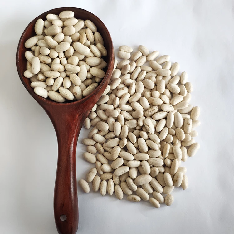 Wholesale Low Price Chinese Natural  Baishake White Kidney Beans