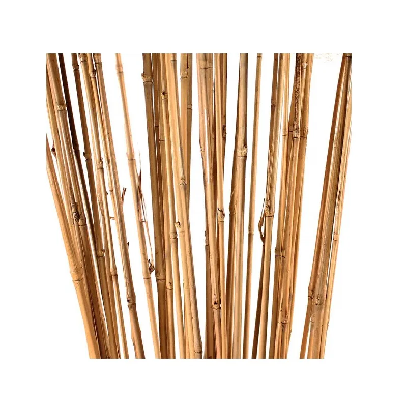 Wholesale for Premium Natural Bamboo Stake/Bamboo Poles