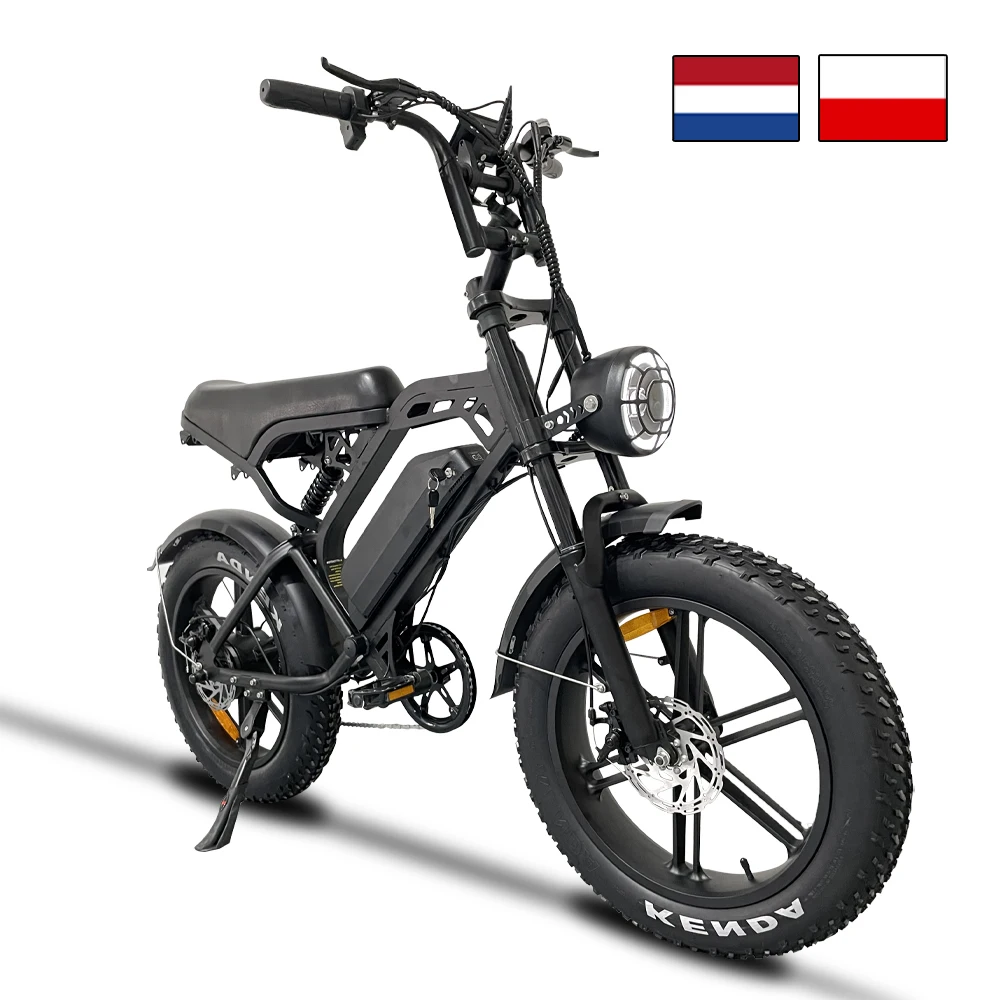 Factory Price Buy Electric Bike 48V 20inch Ebike 7 Speed Ebike Mountain Bike Electric