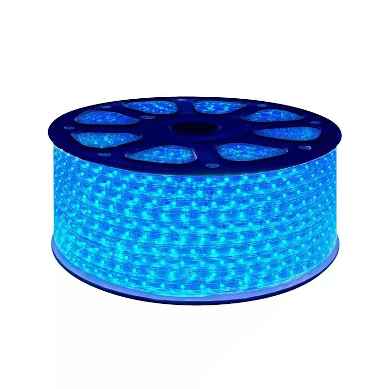 Home Decoration Tira Smart led Strip light waterproof SMD5050 3014 led strip light for ceiling 220v