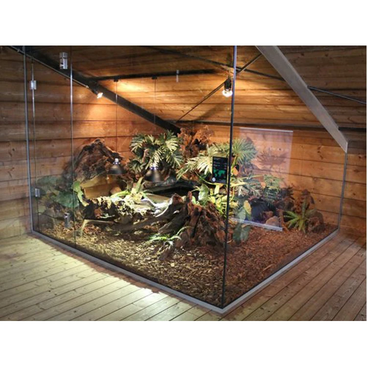 retailer special lizard display glass fish aquarium