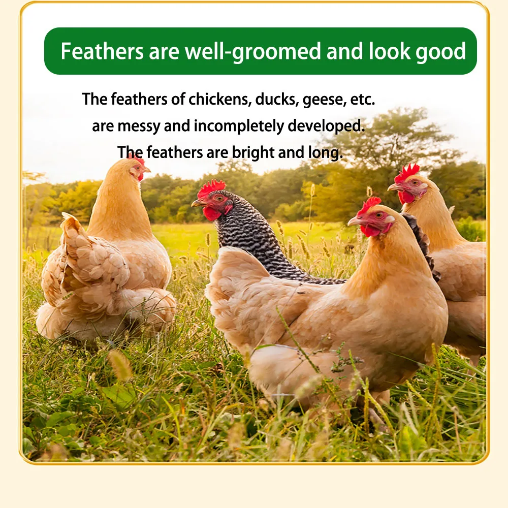 0.5% broiler chicken premix vitamin for broiler chicken to gain weight