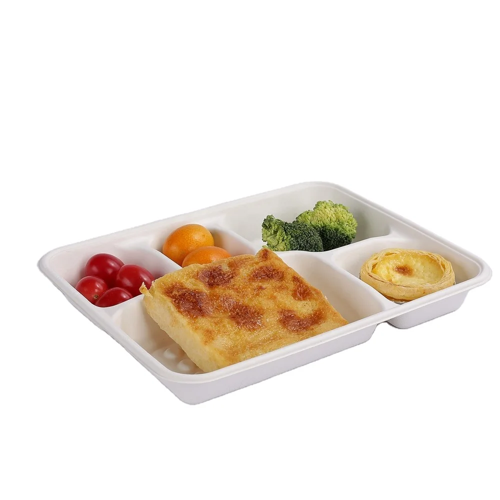 Rectangle Disposable Compostable  Sugarcane Bagasse Divided Plates Biodegradable 5 Compartment Paper Plate
