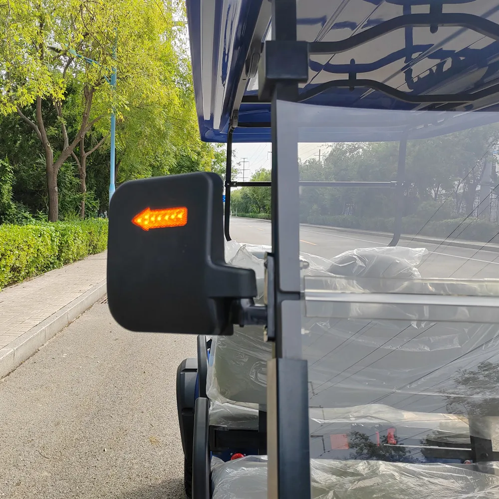 Raysince New model electric golf buggy good quality electric mini buggy electric golf