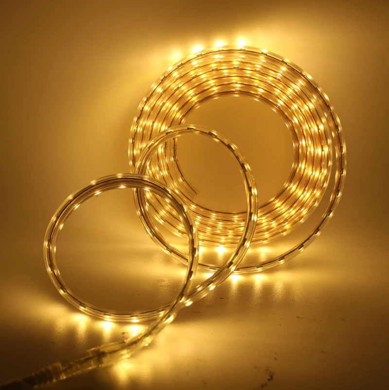 RGB LED Strip SMD 5050 AC220V Waterproof Flexible light Ribbon Tape 220V lamp Outdoor String 60LEDs/M For Christma holiday