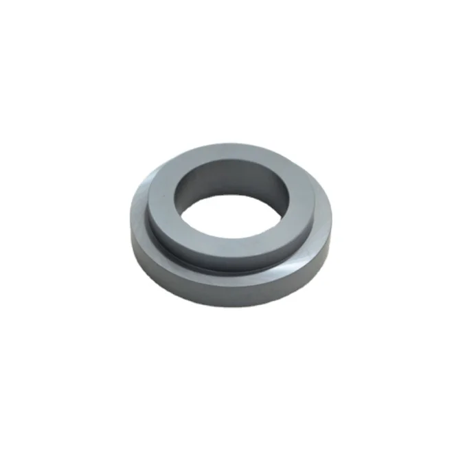 Champsealing Oil Seals RTS Anti-Corrsion Silicon Carbide Standardized SSIC O Rings SIC RBSIC SSIC SSIC+C