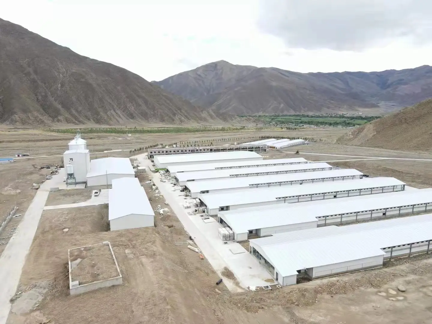 Industrial-Style Steel Chicken House for 1000 Chickens Pasture Poultry Farm Design for Warehouse Use