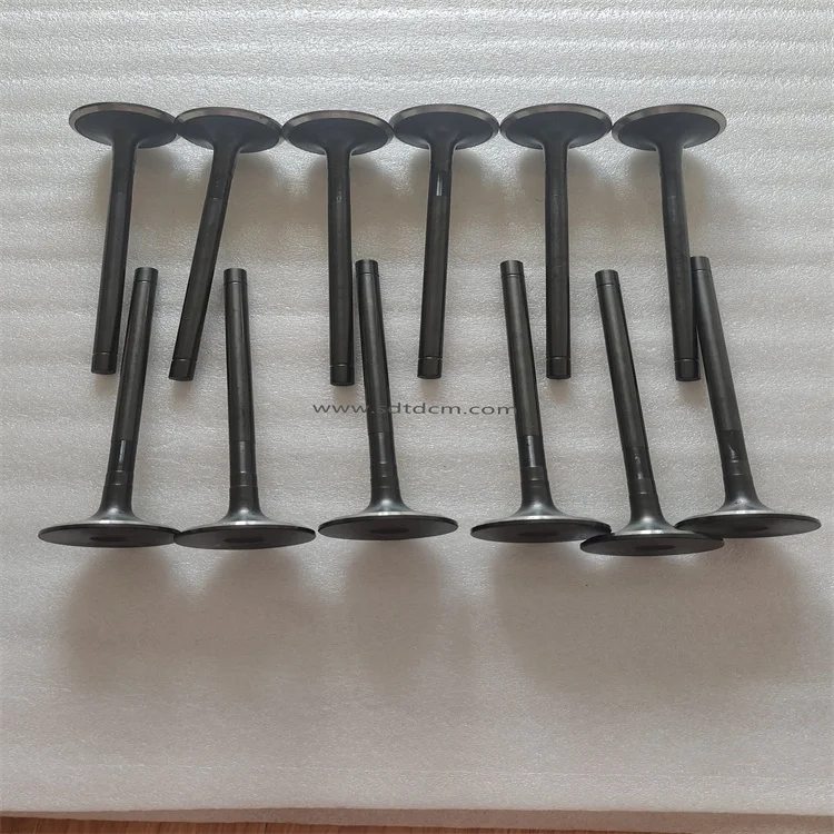 Intake and Exhaust Engine Valve 6D170 E3 Engine OEM 6240-41-4110 6240-41-4210