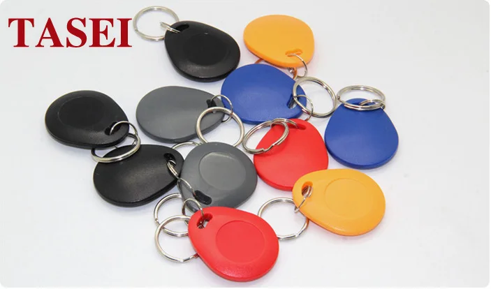 
low cost abs 125khz 13.56mhz TK4100 F08 rfid keyfob keychain key fob key chain price 