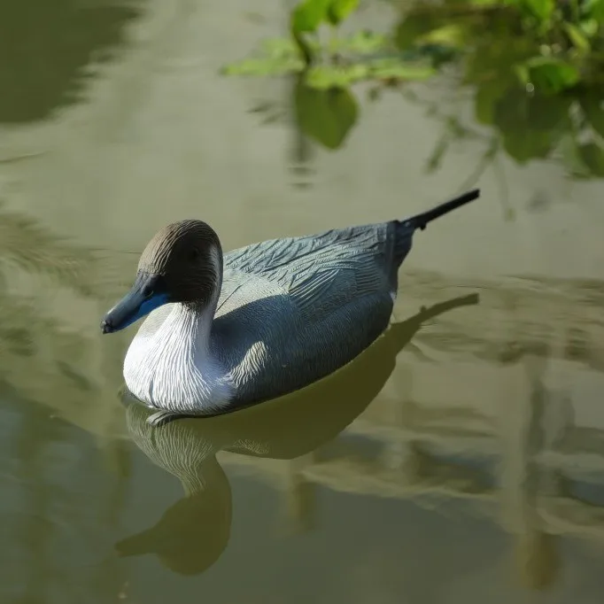 1:1 Restoration Simulation Garden Decoration Wild Animals Long Tail Duck Pintail Forest Outdoor Hunting Trap