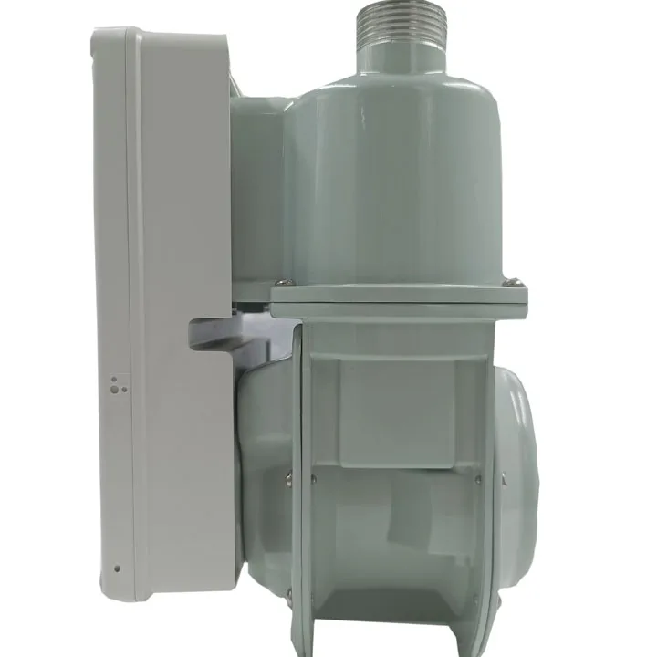 STG16-A  Compressed natural gas mass flow meter