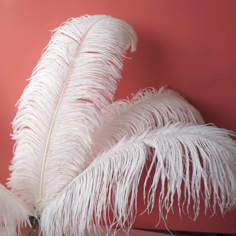 wholesale feather ostrich crafts supplier full size 20-80 cm natural colorful white black ostrich feather trim
