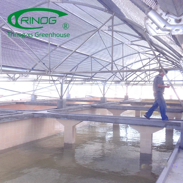 Trinog manufacture multispan plastic film aquaponics fish pond greenhouse for sale