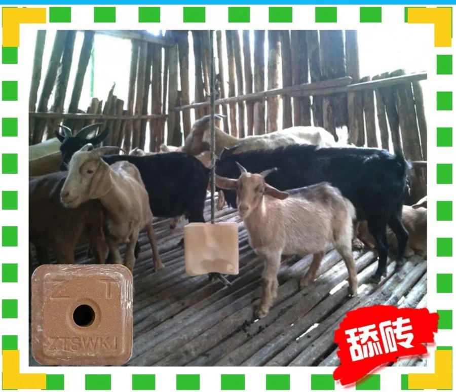 biological deodorant  Reduce ammonia concentration bathroom deodorization