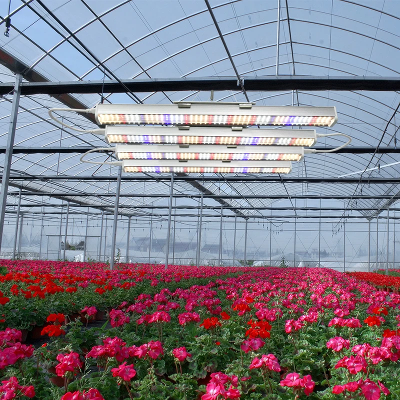 Factory Direct 100W 400W Full Spectrum for Indoor Plant Growing 4 root Led Grow Lights