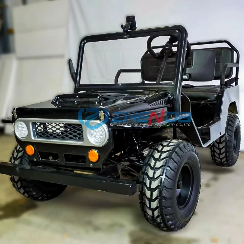 250cc мини-Джип внедорожник новые автомобили Багги utv вездеход бензиновые для взрослых на продажу