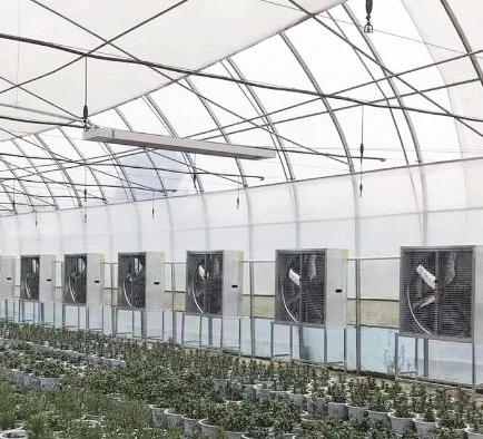 Large Air Flow Industrial Ventilation Extractor Fan with Cooling System for Greenhouse Poultry Ventilation