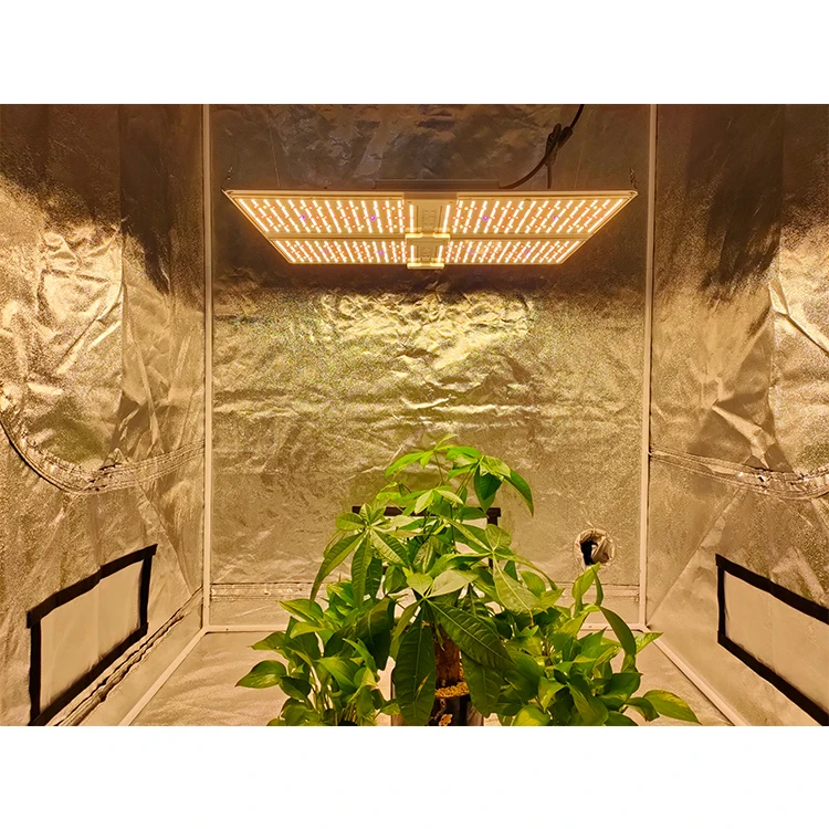 Smart Full Spectrum Led Grow Light Panel 480W High Efficacy IR UV Lights For Plant Growing Tomatoes Greenhouse Growth Plant Lamp