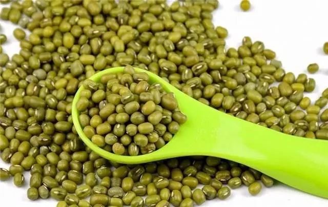 Сельскохозяйственная продукция глубоких в горах съедобные органические зеленые бобы
