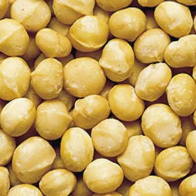 Bulk High Quality Macadamia/ Macadamia nuts/roasted macadamia