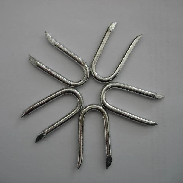 
Polish or E.G or H.D.G U Fence Staple 