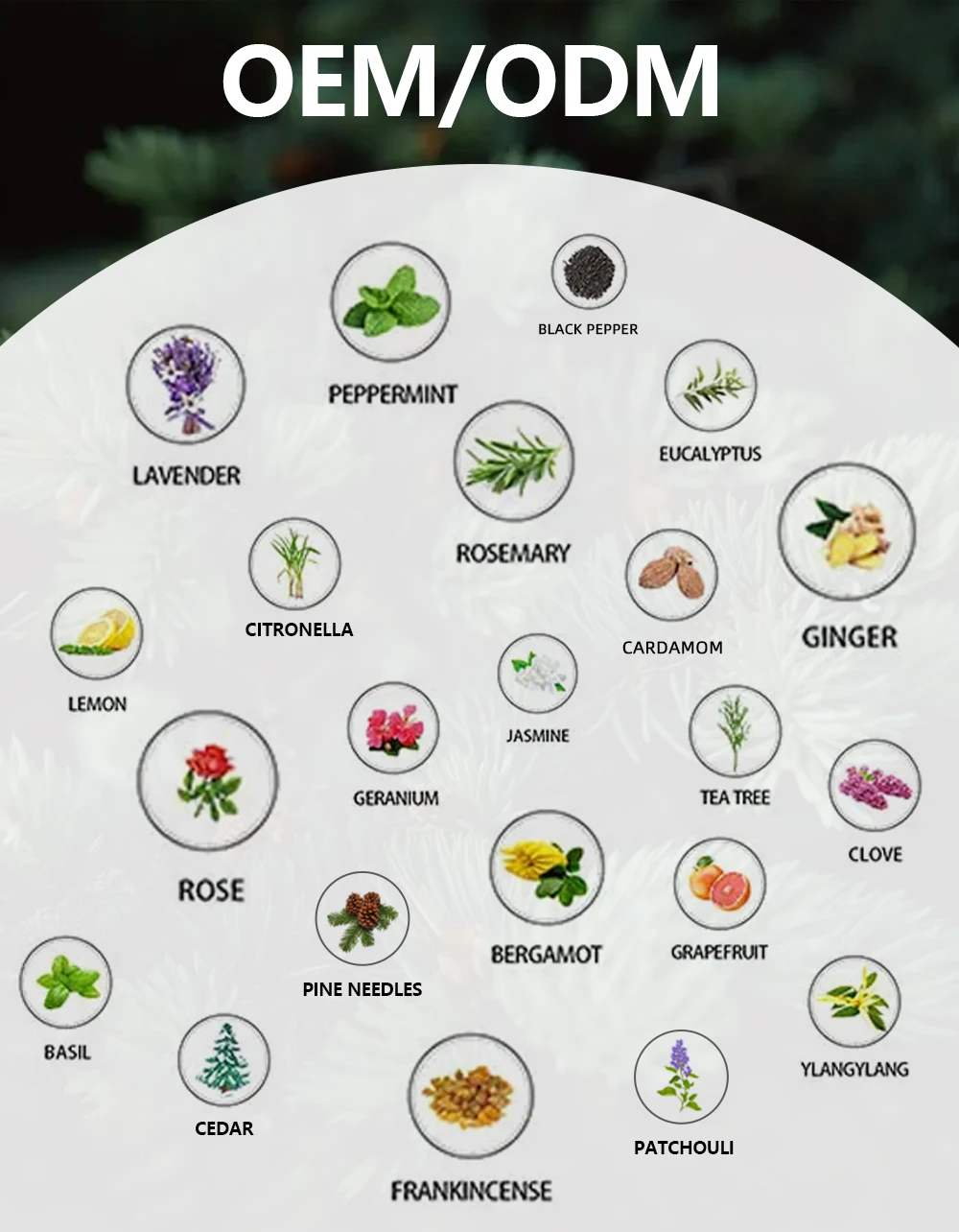 Customize frankincense essential oil jasmine oil aroma fragrance oil for candle