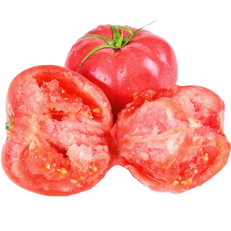 Wholesale Suppliers New Fresh Sweet tomatoes 100% Natural Cheap Price Sweet red tomatoes
