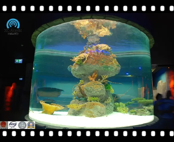 Fancy Clear Large Round Acrylic Fish Tank Aquarium