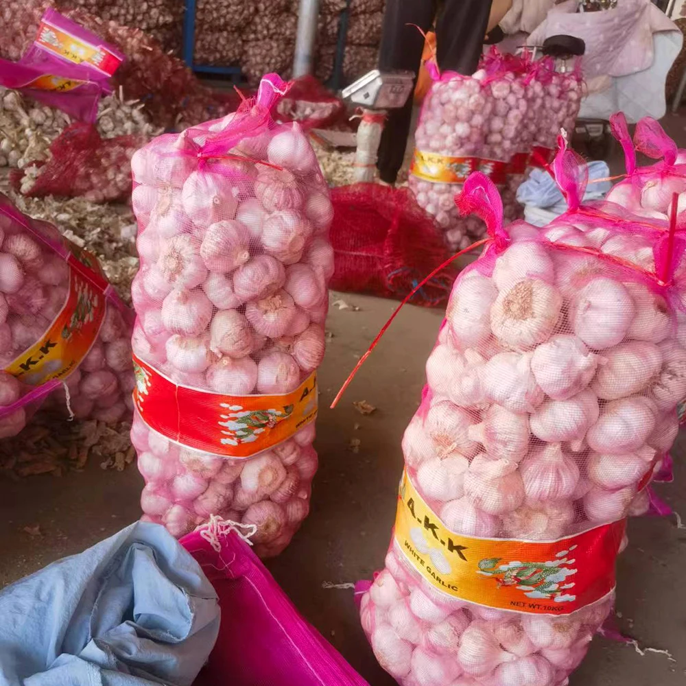 Alho Fresco 10kg Box Packing Fresh China 2023 Crop Garlic Price