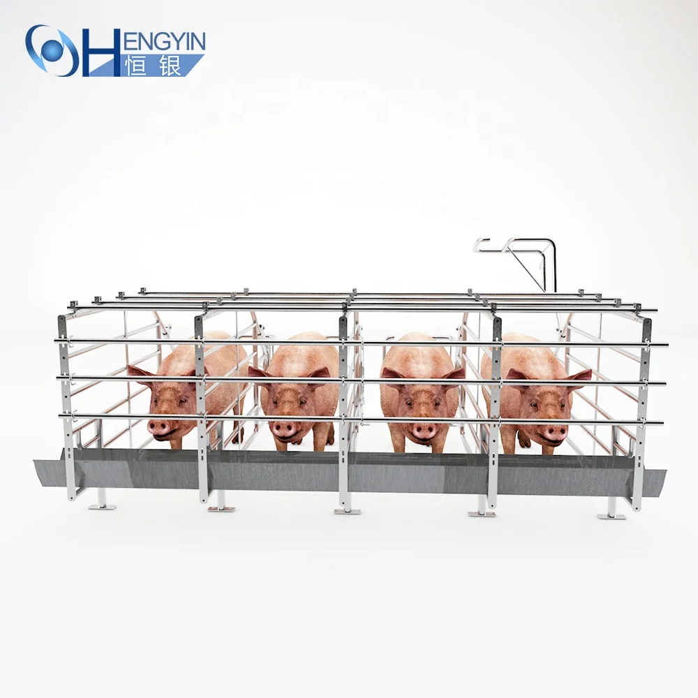 Good quality gestation crates for pigs sow gestation stall sow pregnancy cage