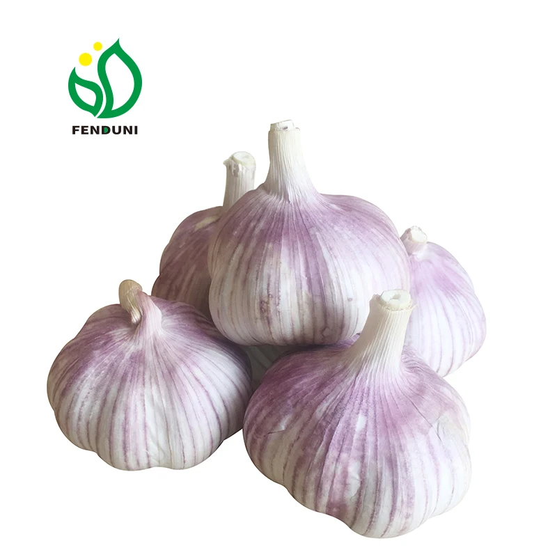 
2019 Chinese New Fresh White Garlic of 20kg mesh bag 